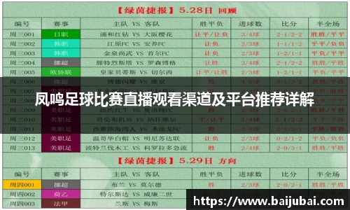 凤鸣足球比赛直播观看渠道及平台推荐详解